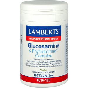 Lamberts Glucosamine & phytodroitine complex 120 Tabletten