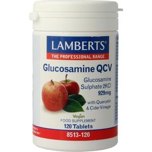 Lamberts Glucosamine QVC 120tb