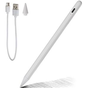 Maplin Stylus Pen voor Post-2018 Apple iPad-modellen met magnetische behuizing penpunt