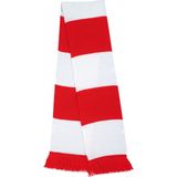 Result Team Scarf