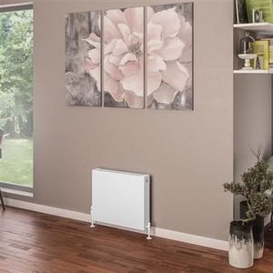 Eastbrook Type 22 paneel radiator 60x50cm 973W wit glans