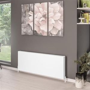 Eastbrook Type 22 paneel radiator 160x60cm 3058W wit mat