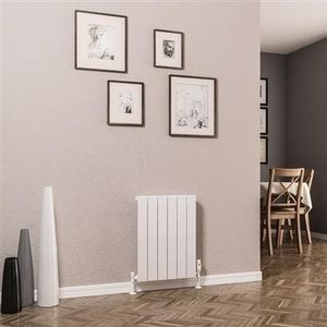 Eastbrook Addington type 10 radiator 45x60cm 421W wit glans