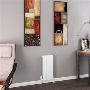 Eastbrook Charlton radiator 30x60cm aluminium 305W wit mat