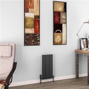 Eastbrook Charlton radiator 30x60cm aluminium 305W antraciet