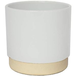 Eno Bloempot Binnen, Wit Pot D11Cm H11.5Cm