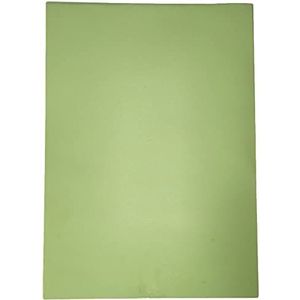 House of Card & Paper A3/297 x 420 mm 220 g/m² gekleurde kaart - pastelgroen (pak van 50 vellen)