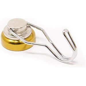 Magneet Expert® NPS25(GO)-20 magneet, Goud, 25mm Diameter