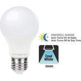 Integral Classic Globe LED Lamp E2 - Dag/Nacht Senso - Niet Dimbaa - 5.000  - 4,8  - 470 Lumen