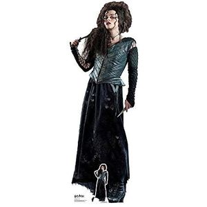 Star uitsparingen uit de officiële Harry Potter LifeSize Bellatrix karton, 163 cm hoogte, meerkleurig, 163 x 55 x 163 cm