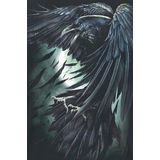 Spiral - Shadow Raven T-shirt - Zwart - 100% Katoen