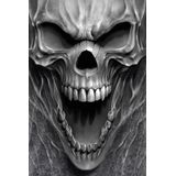 Spiral - Beast Within - T-shirt - Zwart - Acid Wash