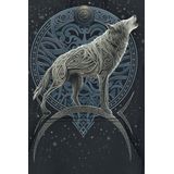 Spiral - M451 - Sweatshirt - Zwart - Met Capuchon