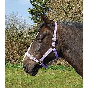 Rhinegold Shetland nylon halster lila