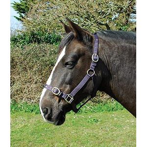 Rhinegold Shetland Nylon halster pruim