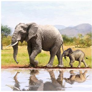 Crystal Card Kit | Diamond painting Elephants