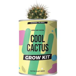 Kweek je eigen cactus