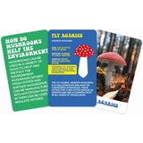 Gift Republic - Le monde merveilleux des champignons Lot de cartes