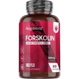 Pure Forskolin - 1000 mg 60 capsules - Coleus Forskohlii-extract