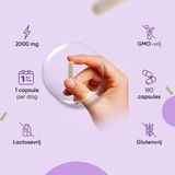 Mariadistel - Extract - 2000 mg - 180 Vegan Capsules - Vrij van GMO's