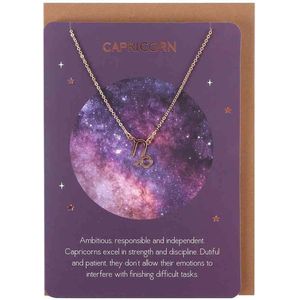 Something Different - Capricorn Star Sign Ketting - Met kaart - Goudkleurig