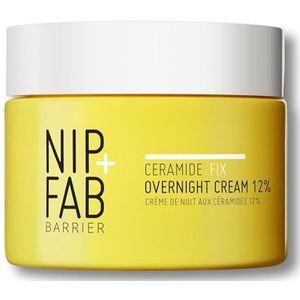 Ceramide Fix Overnight Repair Cream - 12% - Gezichtscrème - Hydraterend - Voor een Stralende Teint