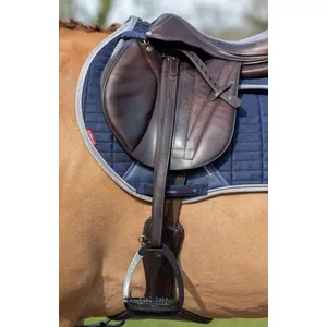 Stirrup Vector LeMieux Beugelriemen kopen? | Ruime keus! | beslist.nl