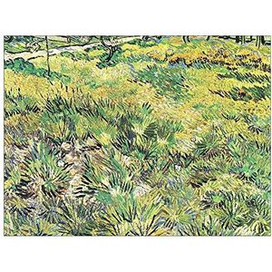 ArtPlaza Van Gogh Vincent-Meadow in The Garden of Saint-Paul Hospital Decoratieve plaat MDF, meerkleurig, 80 x 60 cm