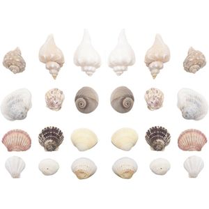 Decoratie/hobby schelpen mix 150 gram - Decoratieve schelpjes