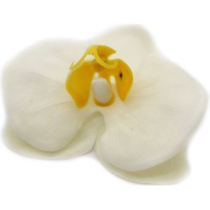 Zeep Bloemen - Orchidee Ivoor - 25 Stuks - 8cm - Zeepbloemen