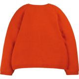 True Knit - Cardigan - met Pockets - Raglan Mouwen - Knopen Sluiting - Intarsia Detail