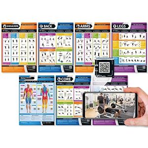 7 stuks krachttraining posterset met gelamineerde oefenposters afmetingen 594 mm x 420 mm (A2) schouders, rug, borst, armen, benen en kern, verbetert de persoonlijke fitness