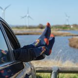 Wrendale - Herensokken - Fazant - Superzachte Bamboe Sokken - One Size