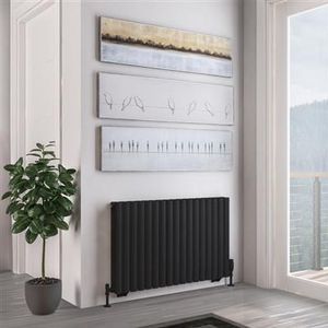 Eastbrook Tunstall dubbele radiator 100x60cm 1391W zwart mat