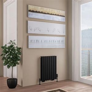 Eastbrook Tunstall dubbele radiator 50x60cm 734W zwart mat