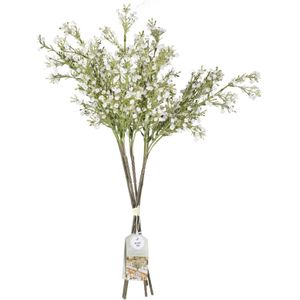Droogbloemen Gypsophilia Stems 40cm 5st