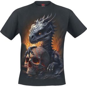 Spiral - Hatchling - T-shirt - Zwart - 100% Katoen - Regular Pasvorm