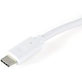 USB-C Naar Gigabit Netwerkadapter - Zilver