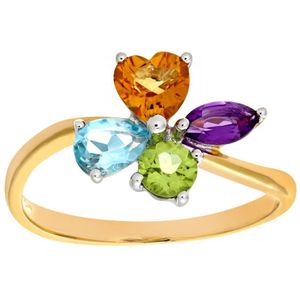 Dames 9ct geelgouden multi-edelsteen jurkring