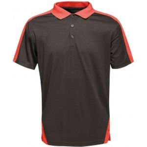 Regatta - Poloshirt - Contrast - Korte Mouwen - 100% Polyester
