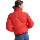 Superdry - Essentials - Tussenjas - Zwart - Polyester