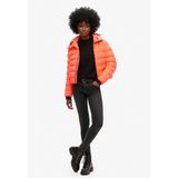 Superdry - W5011103A - Gewatteerd Jack - Oranje - Gerecycled Polyester