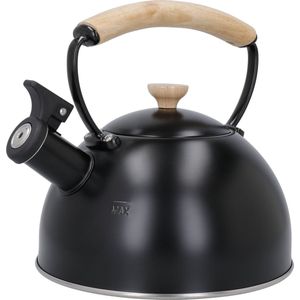 Ketel Fluitketel 3L Roestvrijstalen Kookplaat Fluitende Theeketel Met Hittebestendig Handvat, Kookplaat Theepot Voor Inductiekookplaten Waterketel (Color : Rot, Size : 3L