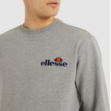 Sweatshirt met labelstitching, model 'FIERRO'