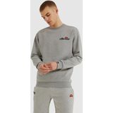 Sweatshirt met labelstitching, model 'FIERRO'