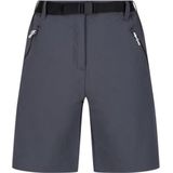 Regatta Outdoorbroek Xert Dames Polyamide/elastaan Grijs