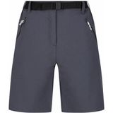 Regatta Outdoorbroek Xert Dames Polyamide/elastaan Grijs