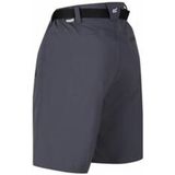 Regatta Outdoorbroek Xert Dames Polyamide/elastaan Grijs