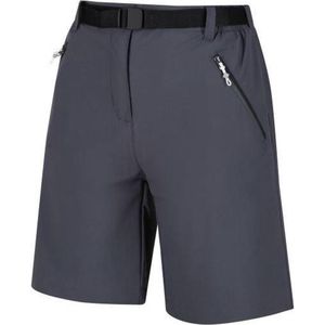 Regatta Outdoorbroek Xert Dames Polyamide/elastaan Grijs