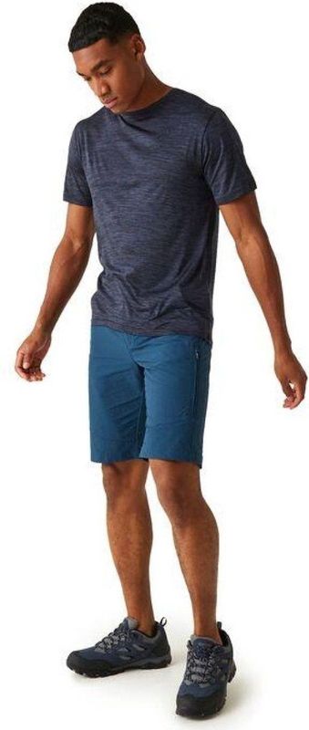 Regatta Shorts Highton ShortLong